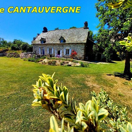 Vebret Gite Cantauvergneヴィラ エクステリア 写真