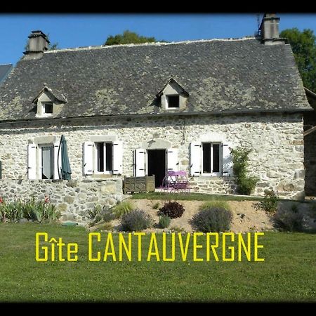 Vebret Gite Cantauvergneヴィラ エクステリア 写真