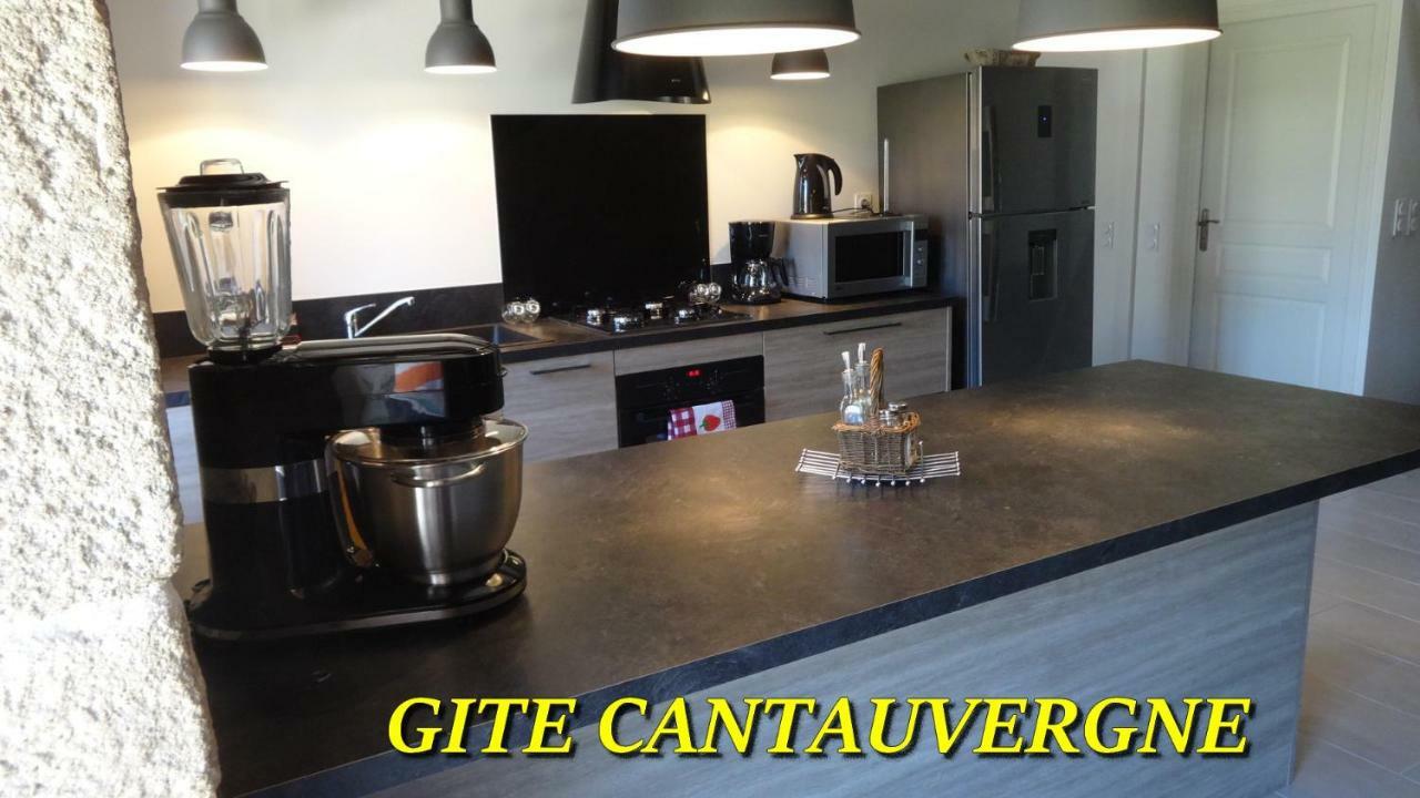 Vebret Gite Cantauvergneヴィラ エクステリア 写真