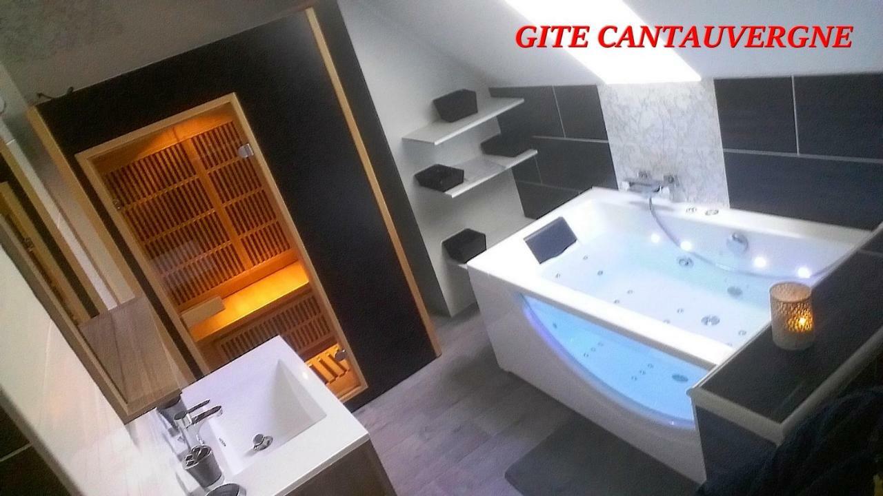 Gite Cantauvergne Vebret エクステリア 写真
