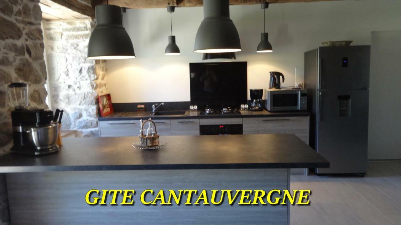 Vebret Gite Cantauvergneヴィラ エクステリア 写真