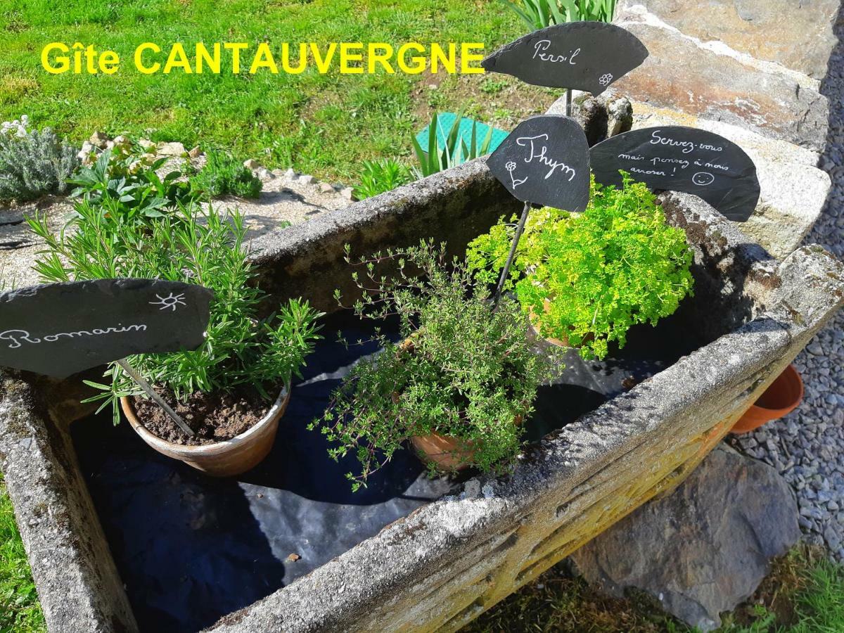 Gite Cantauvergne Vebret エクステリア 写真